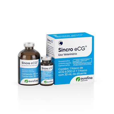 Sincro eCG 6000 UI
