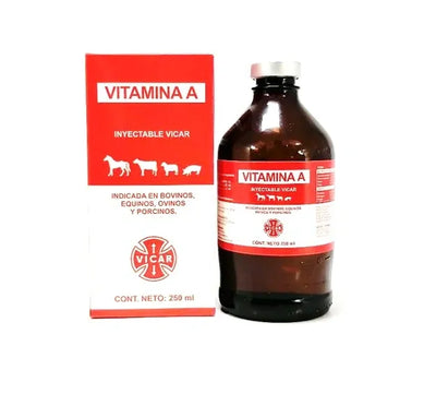Vitamina A